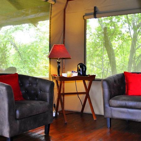 Lion Tree Top Lodge Guernsey Nature Reserve Extérieur photo