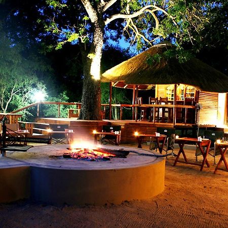 Lion Tree Top Lodge Guernsey Nature Reserve Extérieur photo