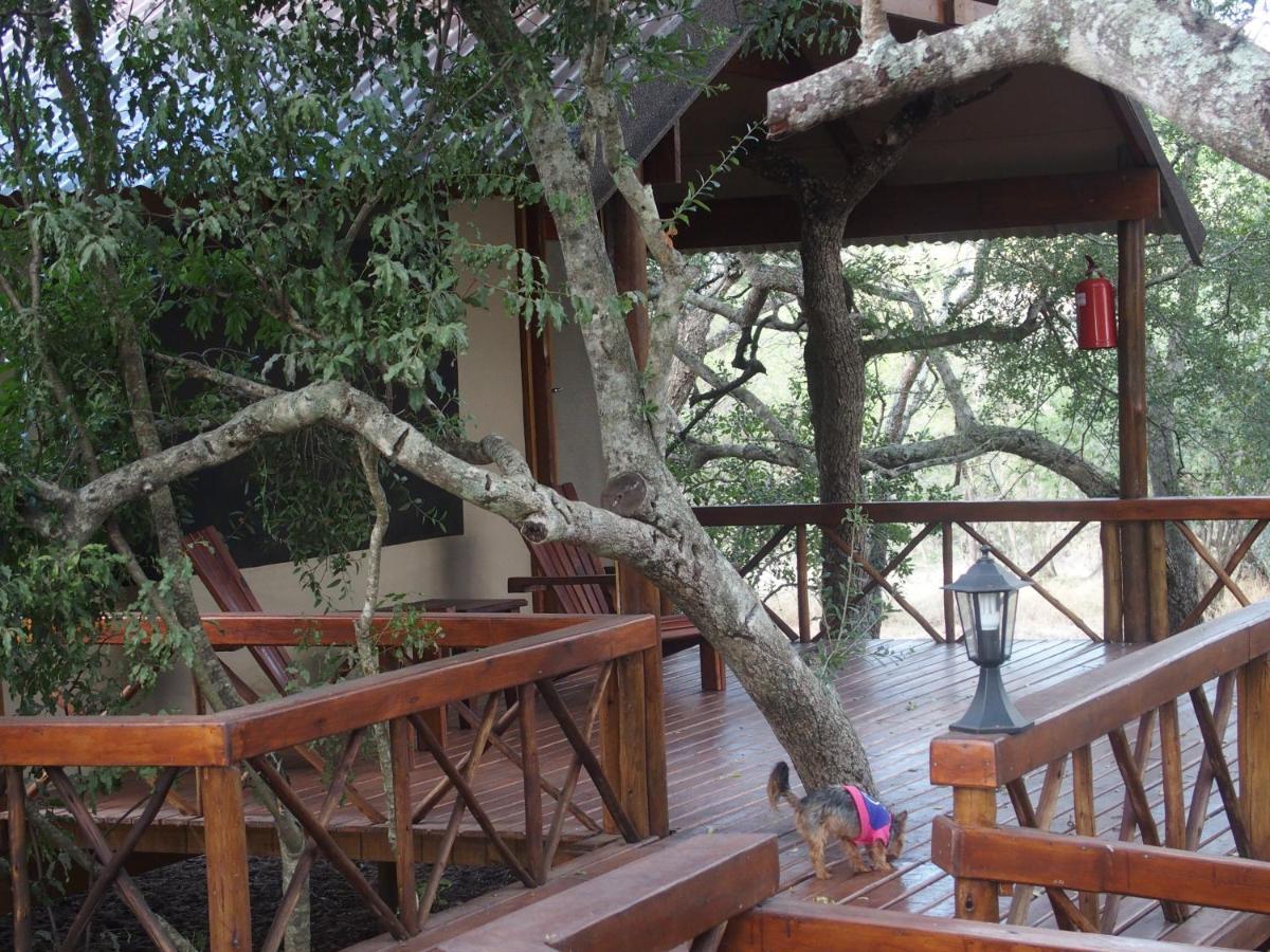 Lion Tree Top Lodge Guernsey Nature Reserve Extérieur photo