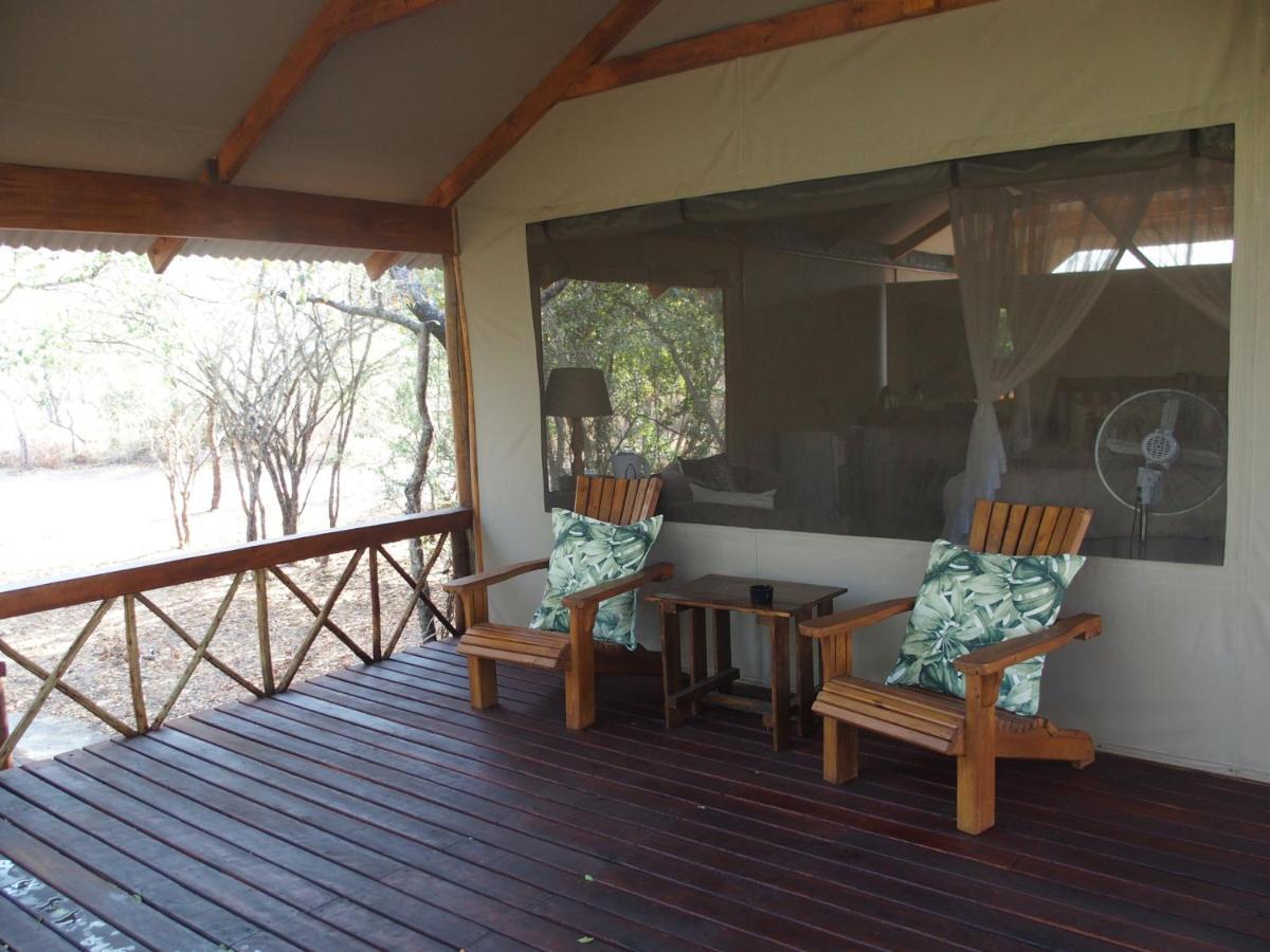 Lion Tree Top Lodge Guernsey Nature Reserve Extérieur photo