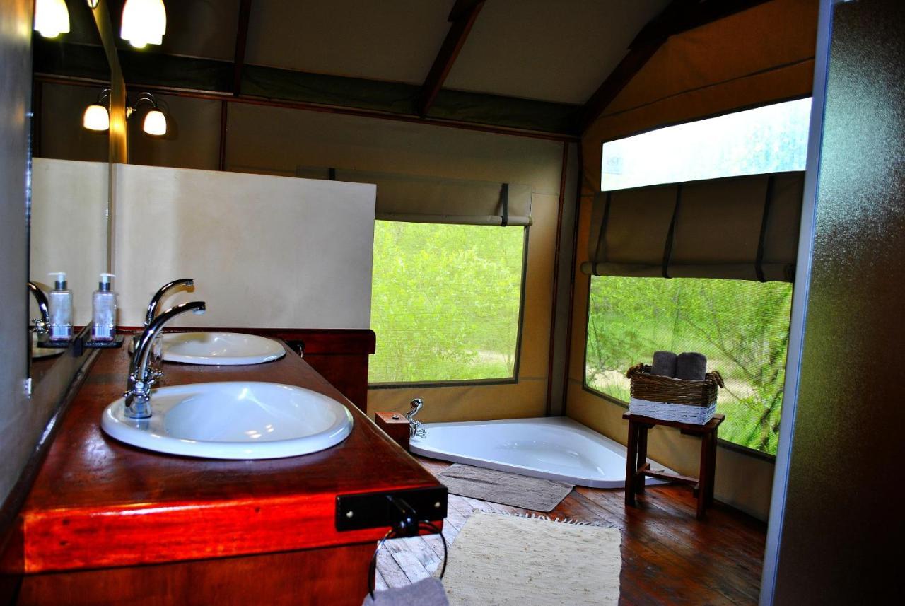 Lion Tree Top Lodge Guernsey Nature Reserve Extérieur photo