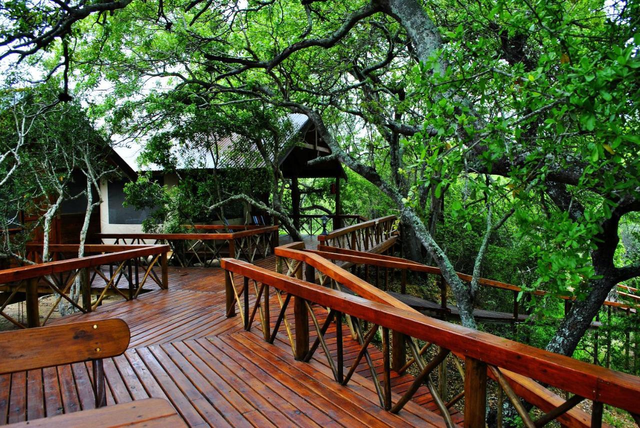 Lion Tree Top Lodge Guernsey Nature Reserve Extérieur photo