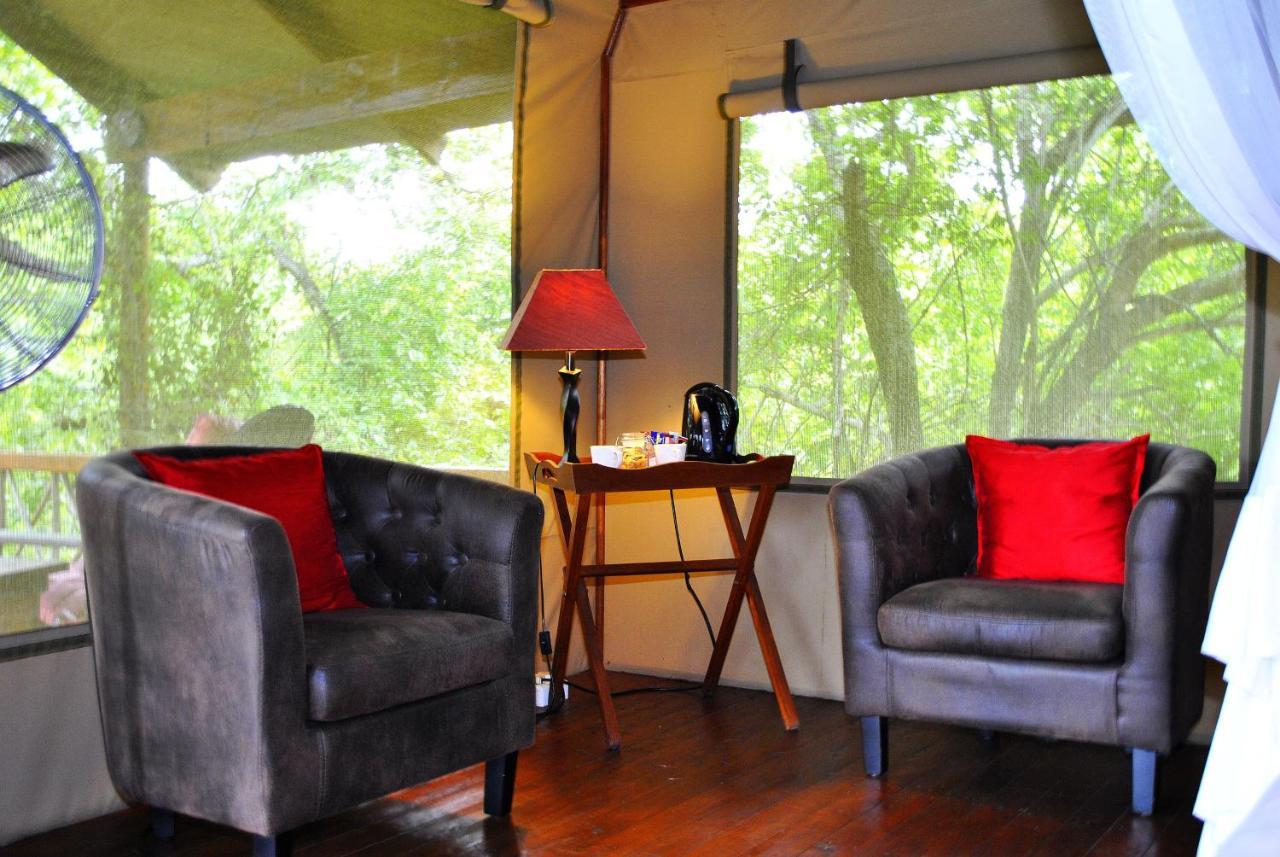 Lion Tree Top Lodge Guernsey Nature Reserve Extérieur photo