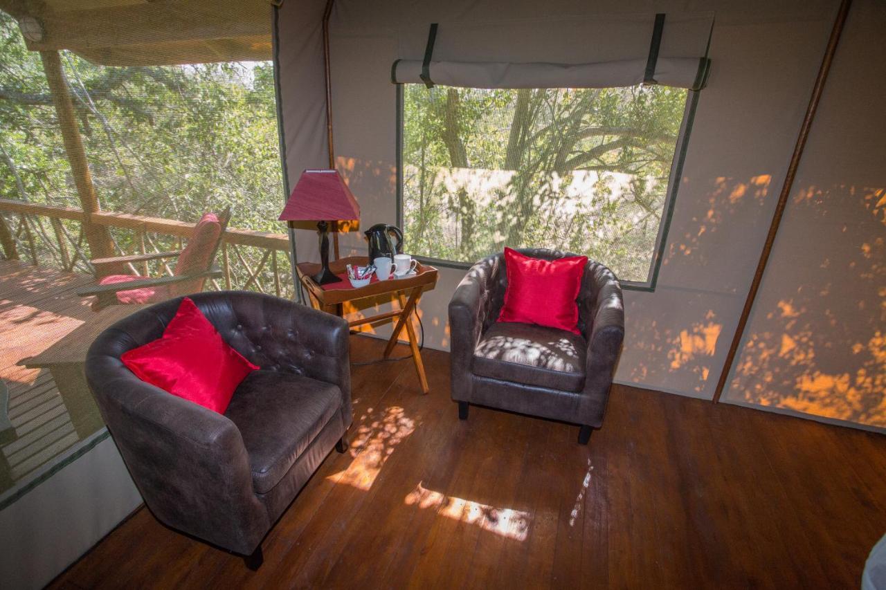 Lion Tree Top Lodge Guernsey Nature Reserve Extérieur photo