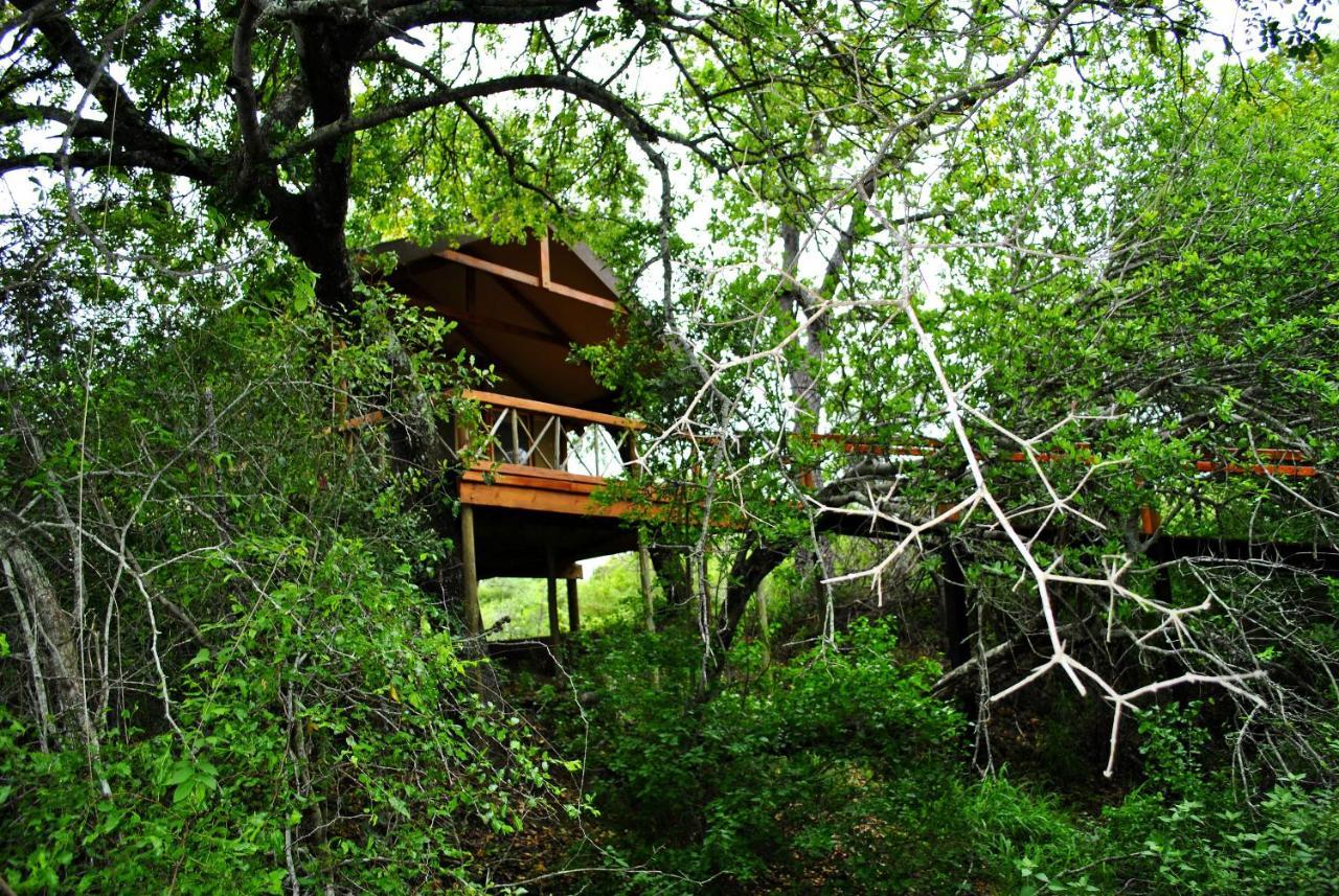 Lion Tree Top Lodge Guernsey Nature Reserve Extérieur photo