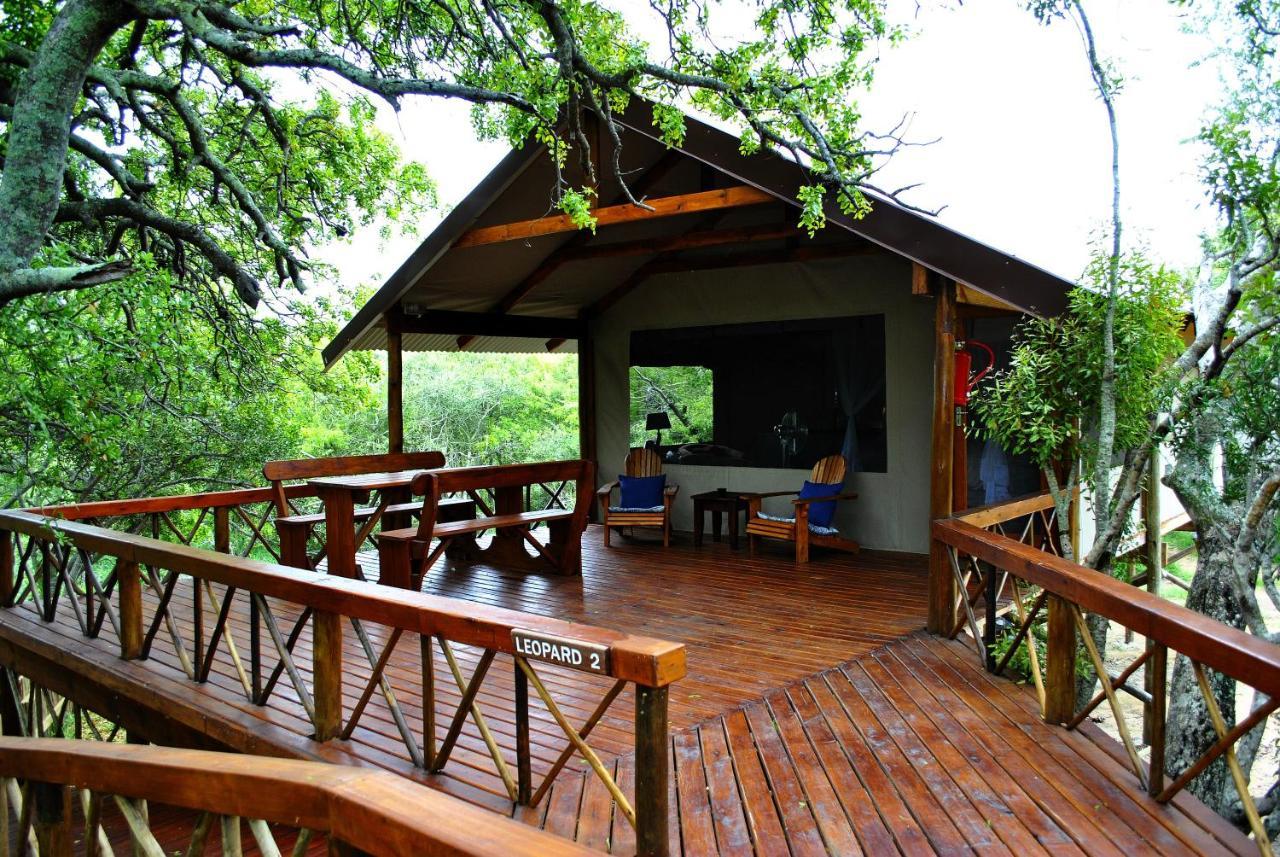 Lion Tree Top Lodge Guernsey Nature Reserve Extérieur photo