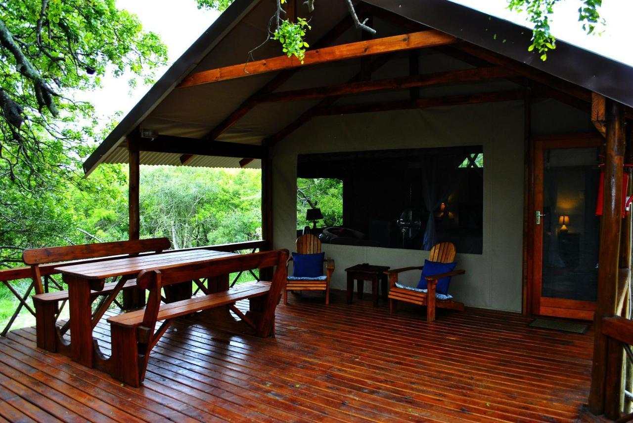 Lion Tree Top Lodge Guernsey Nature Reserve Extérieur photo