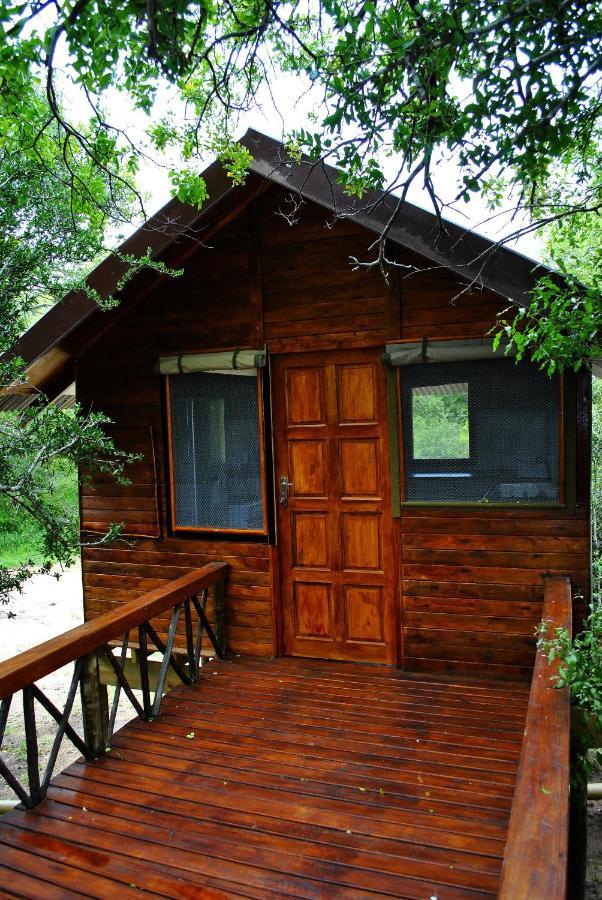 Lion Tree Top Lodge Guernsey Nature Reserve Extérieur photo