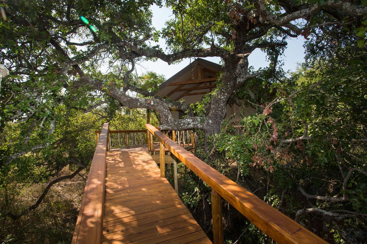 Lion Tree Top Lodge Guernsey Nature Reserve Extérieur photo
