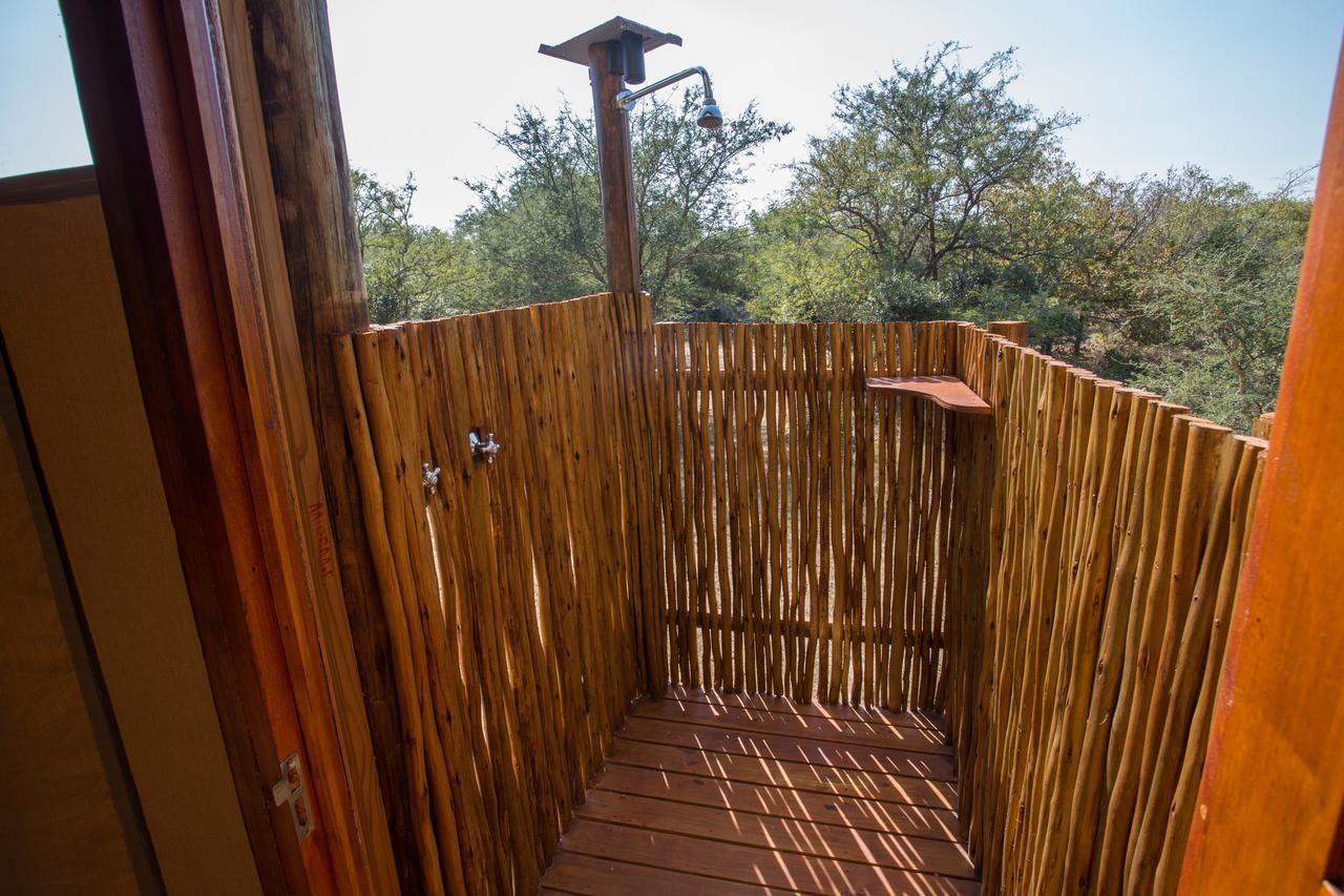 Lion Tree Top Lodge Guernsey Nature Reserve Extérieur photo