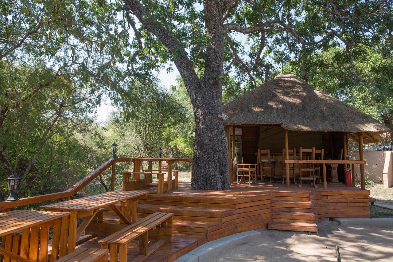 Lion Tree Top Lodge Guernsey Nature Reserve Extérieur photo