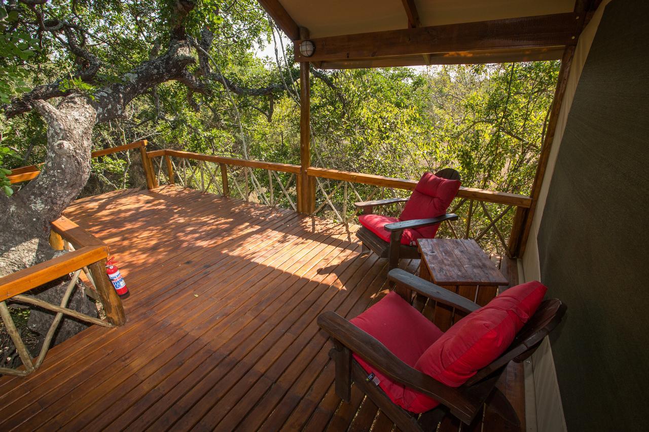 Lion Tree Top Lodge Guernsey Nature Reserve Extérieur photo